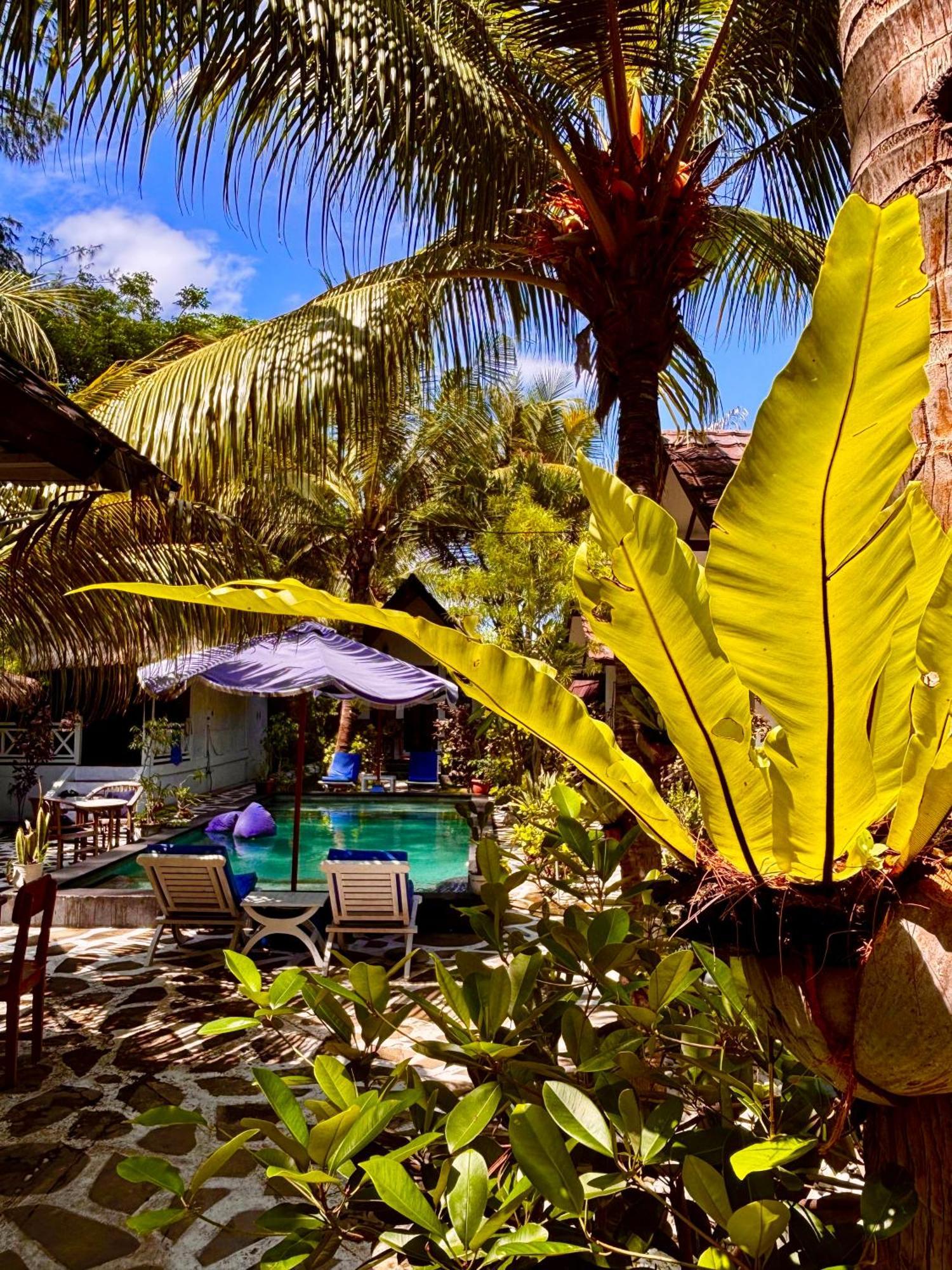 Alibaba Bungalows Gili Air Eksteriør billede